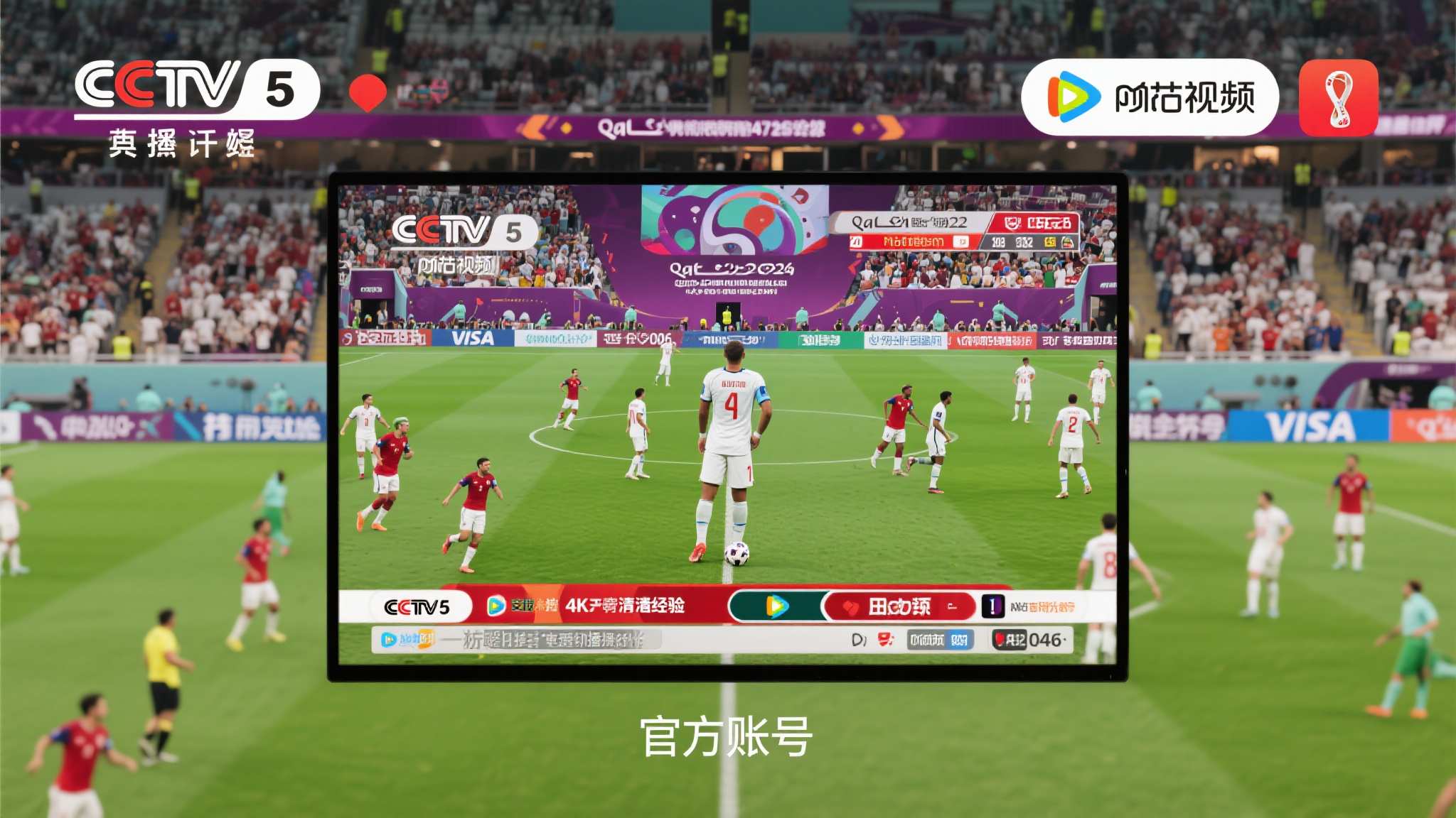 世界杯直播额简介